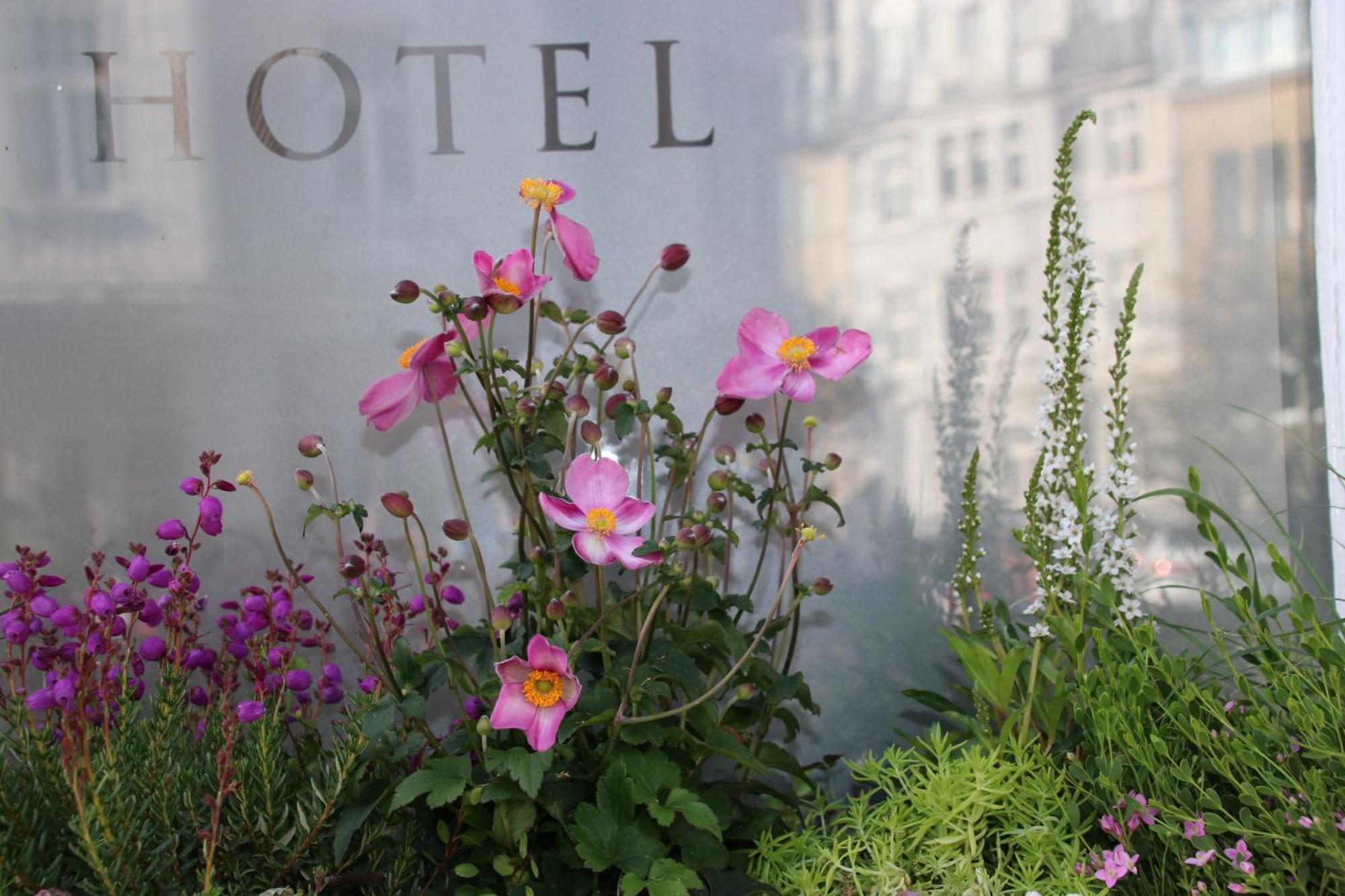 Hanseat-Hotel Düsseldorf Eksteriør billede